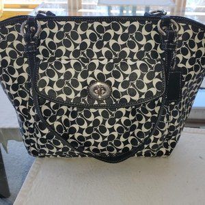 COACH F15135 Chelsea Leah Signature Purse